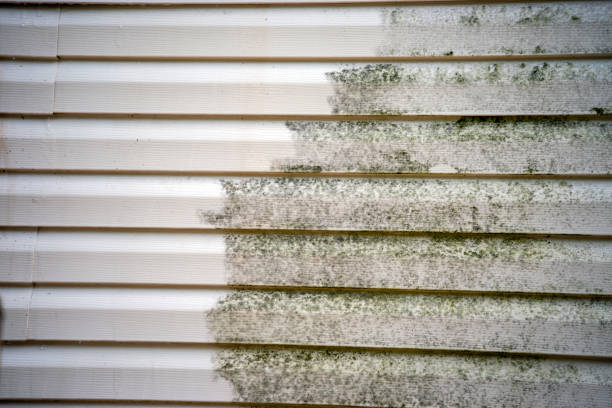 Siding Removal and Disposal in Banner Elk, NC